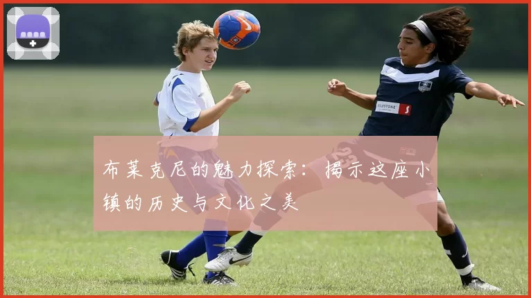 布莱克尼的魅力探索：揭示这座小镇的历史与文化之美