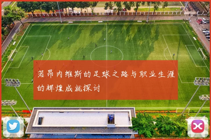 若昂内维斯的足球之路与职业生涯的辉煌成就探讨