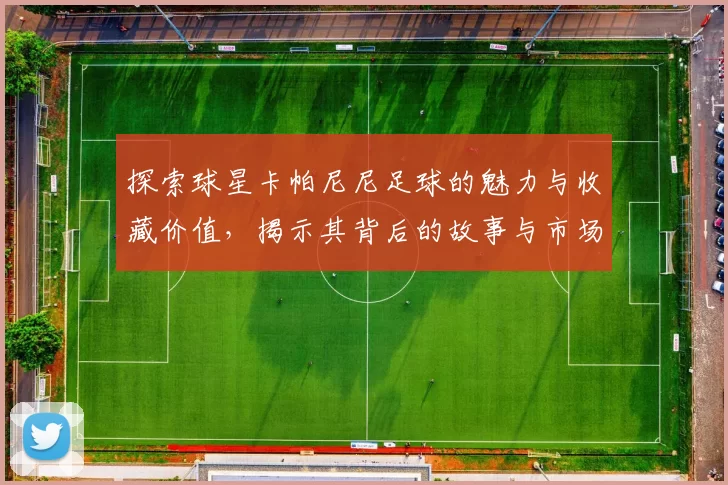 探索球星卡帕尼尼足球的魅力与收藏价值，揭示其背后的故事与市场趋势